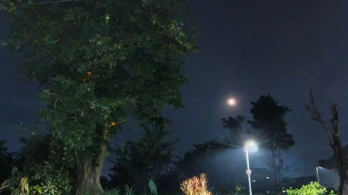 Prakiraan Cuaca Bogor 24 Februari 2026: Siapkan Payung, Suhu Udara Terasa Lebih Dingin Seharian