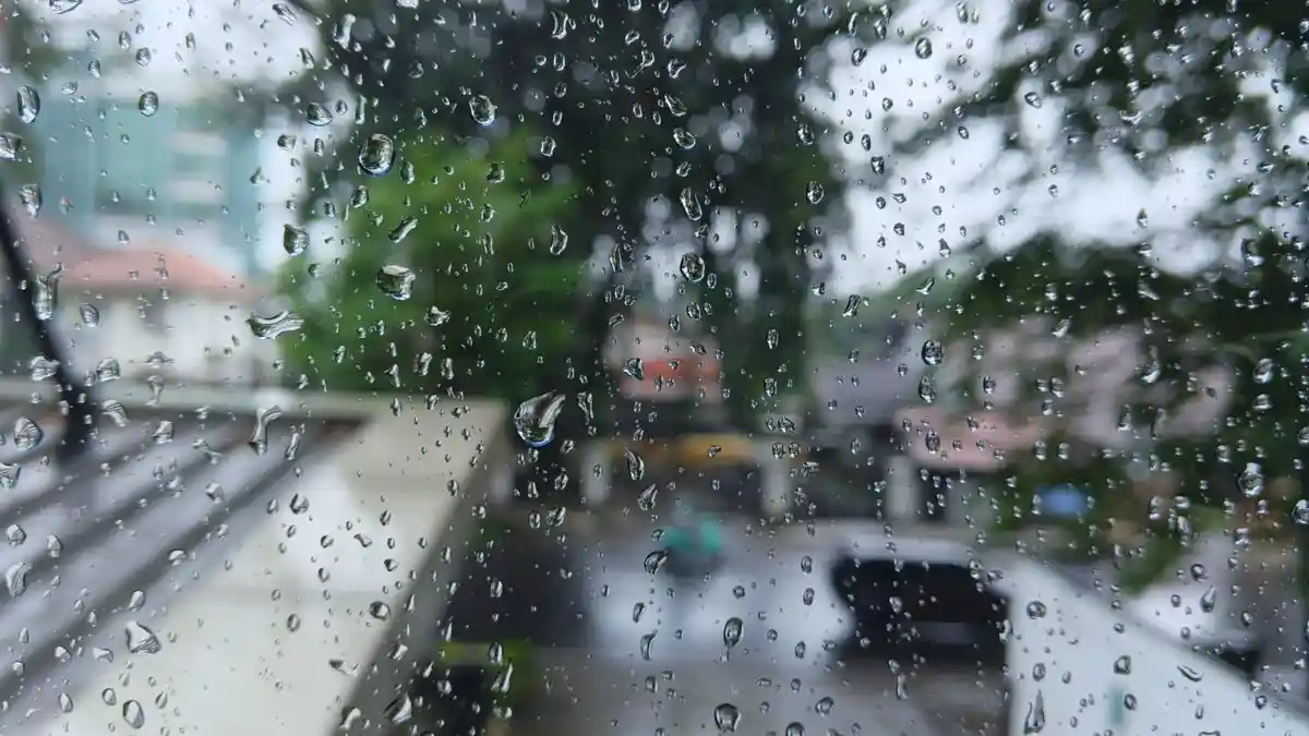 Cuaca Kota Bogor 19 Februari 2026: Hujan Ringan di Tanah Sareal, Diprediksi Awet Sampai Sore