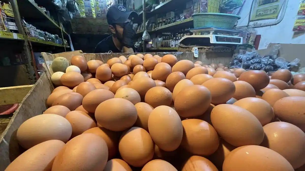 Sepekan Jelang Lebaran 2026, Harga Telur dan Ayam di Pasar Anyar Bogor Naik